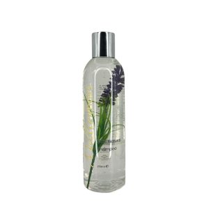 Millionhairs Natural Shampoo